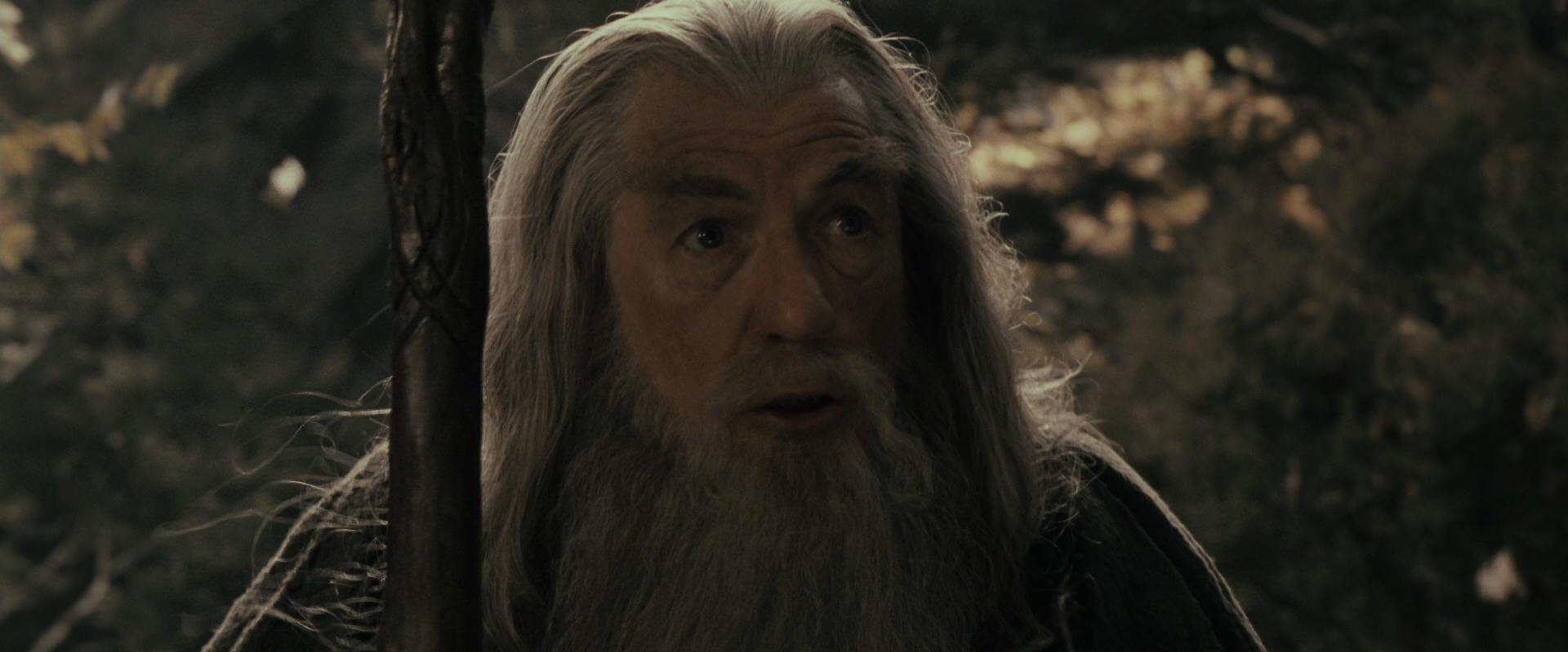 The Lord of the Rings: The Fellowship of the Ring (2001) screencap 11637
