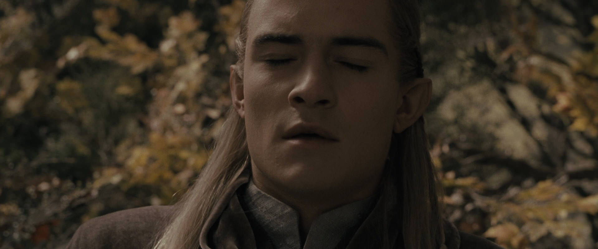 The Lord of the Rings: The Fellowship of the Ring (2001) screencap 11643