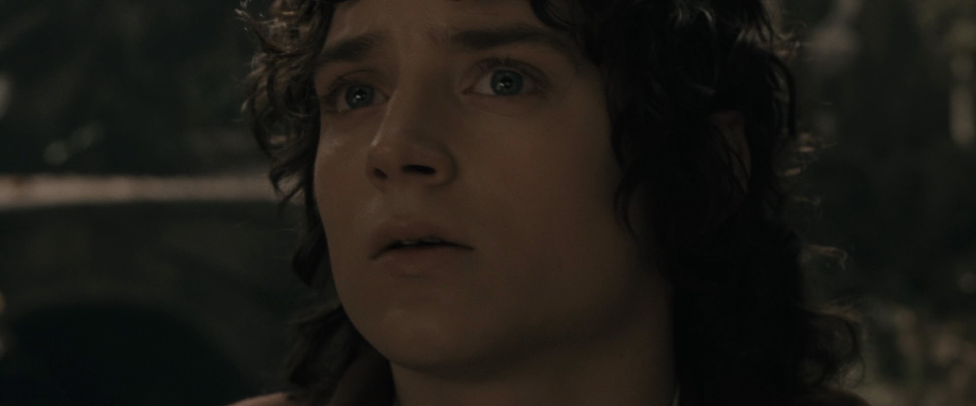 The Lord of the Rings: The Fellowship of the Ring (2001) HD screenshot 11645