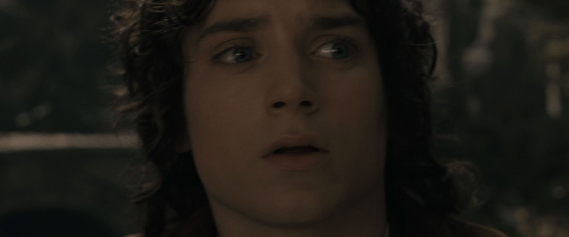 The Lord of the Rings: The Fellowship of the Ring (2001) screencap 11646