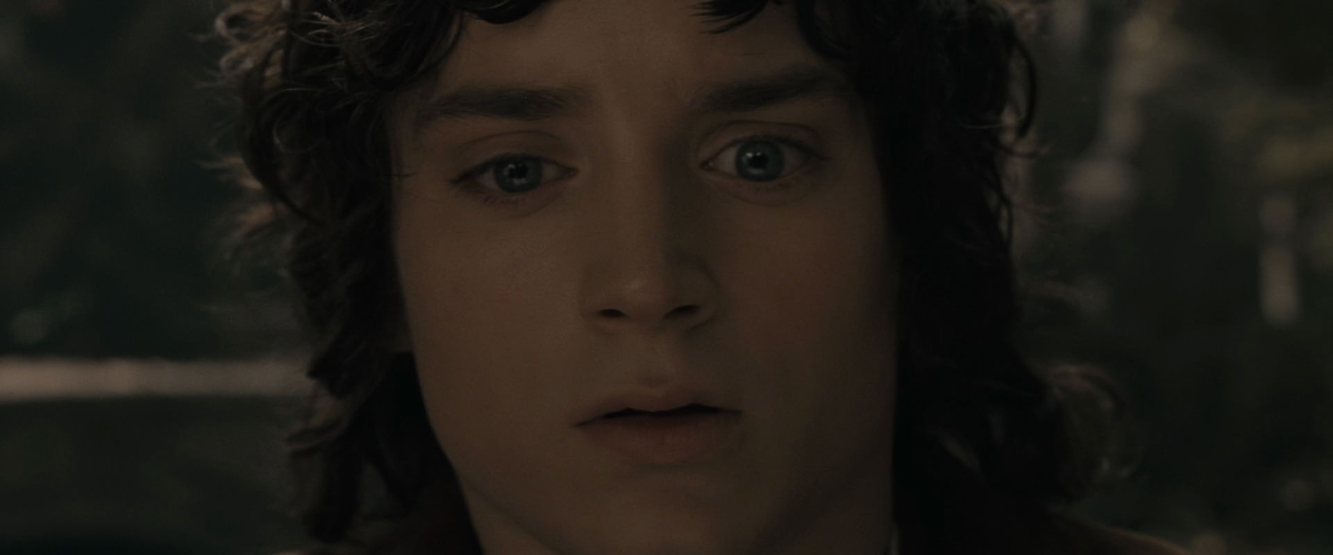 The Lord of the Rings: The Fellowship of the Ring (2001) HD screenshot 11648