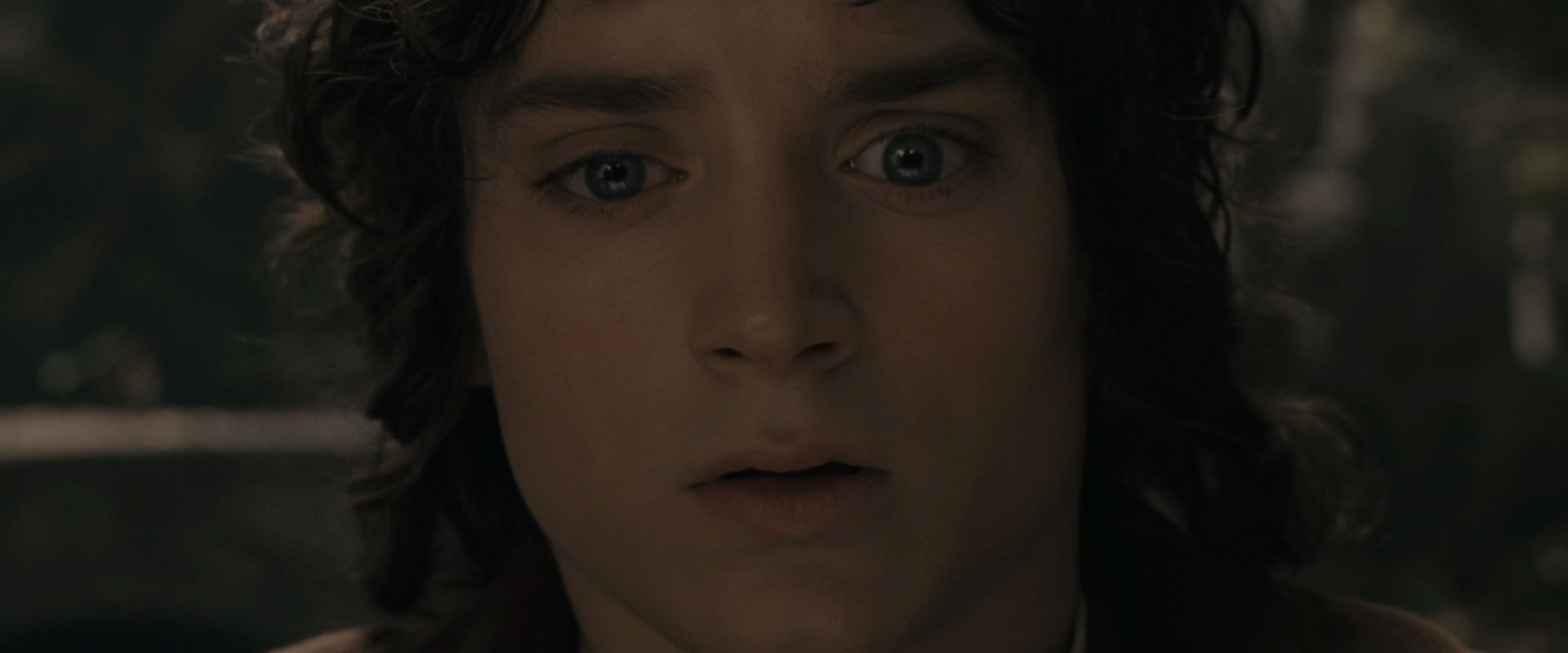 The Lord of the Rings: The Fellowship of the Ring (2001) screencap 11649