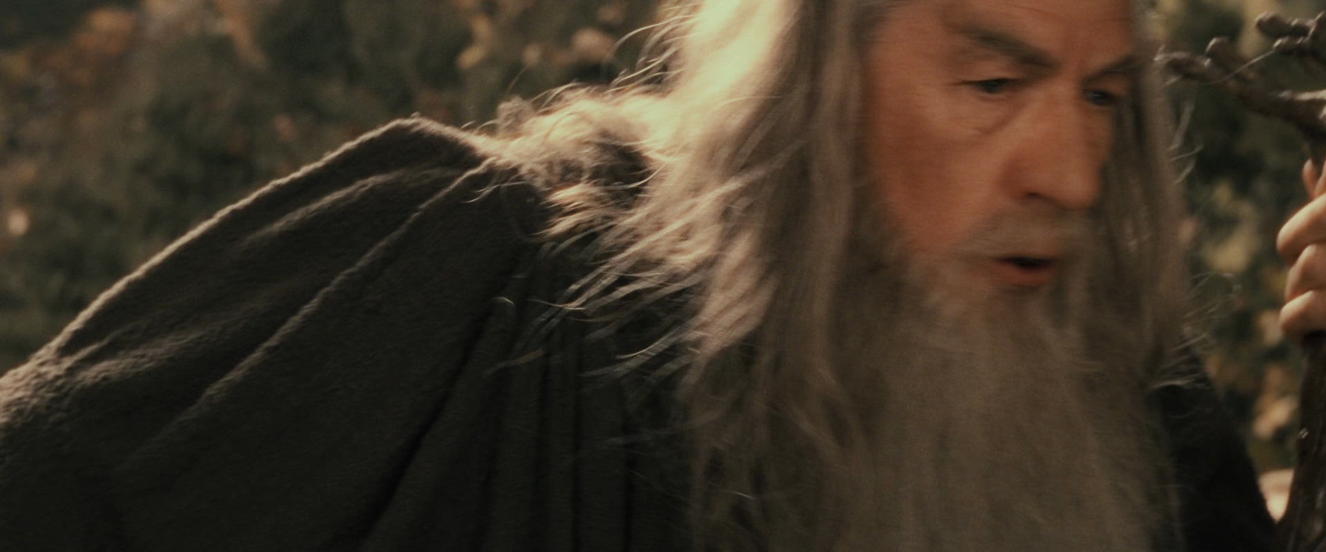 The Lord of the Rings: The Fellowship of the Ring (2001) HD screenshot 11675