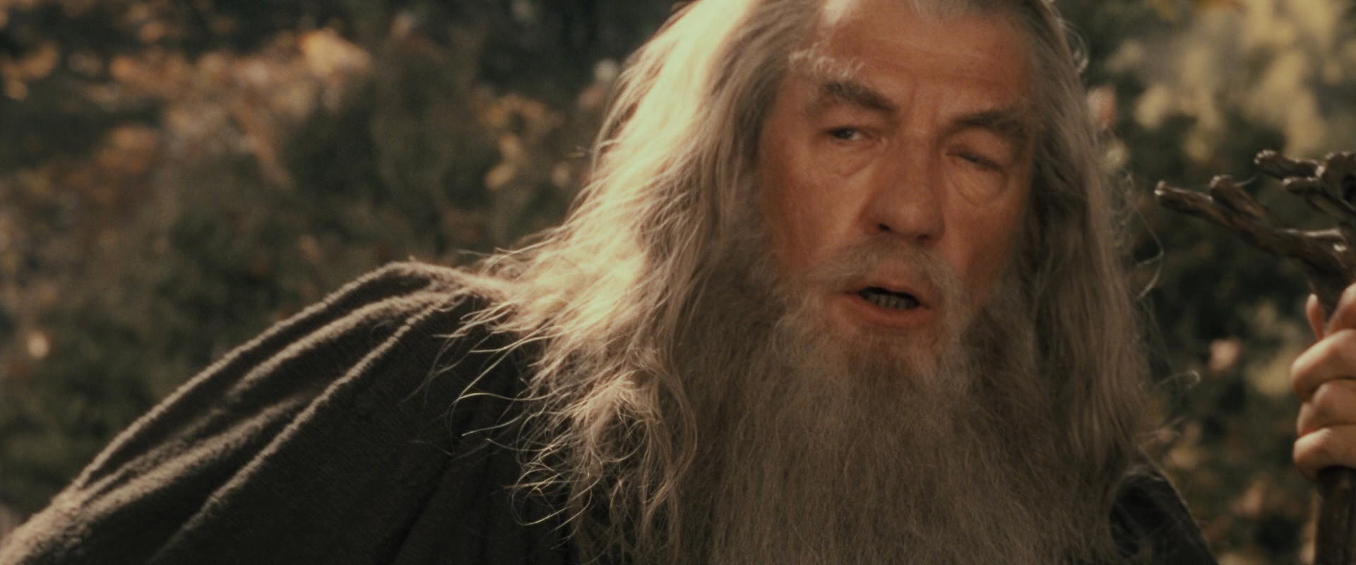 The Lord of the Rings: The Fellowship of the Ring (2001) screencap 11676