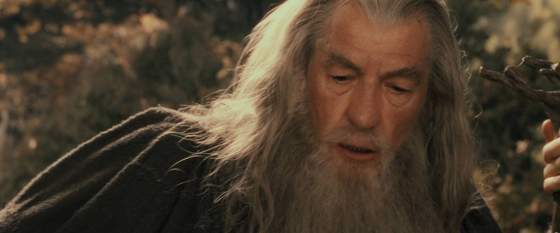 The Lord of the Rings: The Fellowship of the Ring (2001) movie still 11677