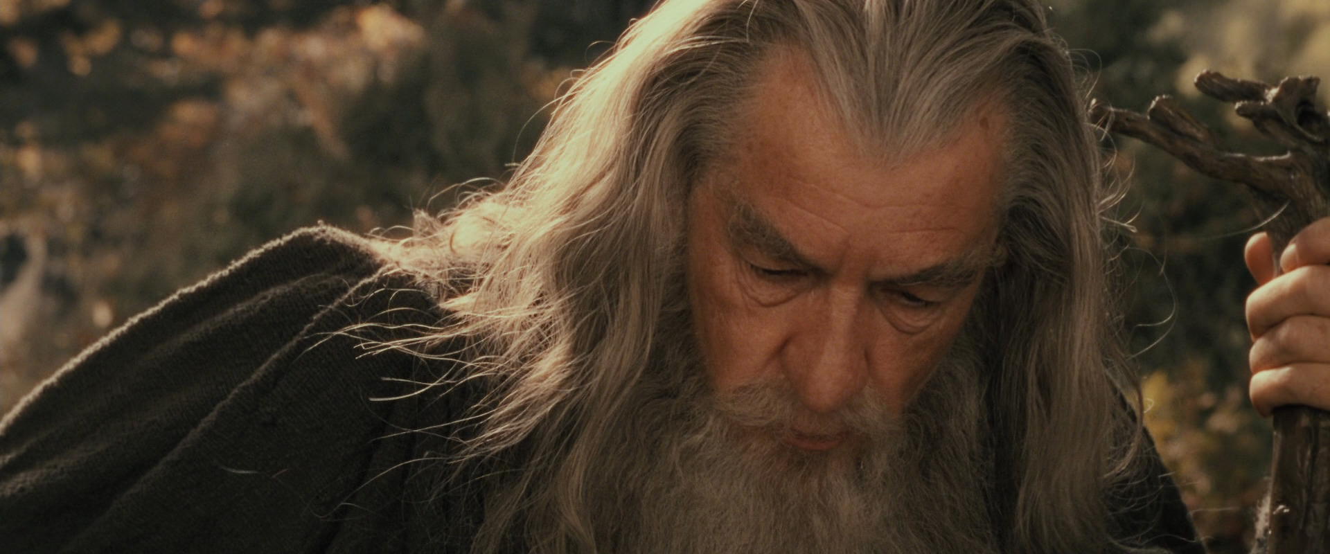 The Lord of the Rings: The Fellowship of the Ring (2001) HD screenshot 11678