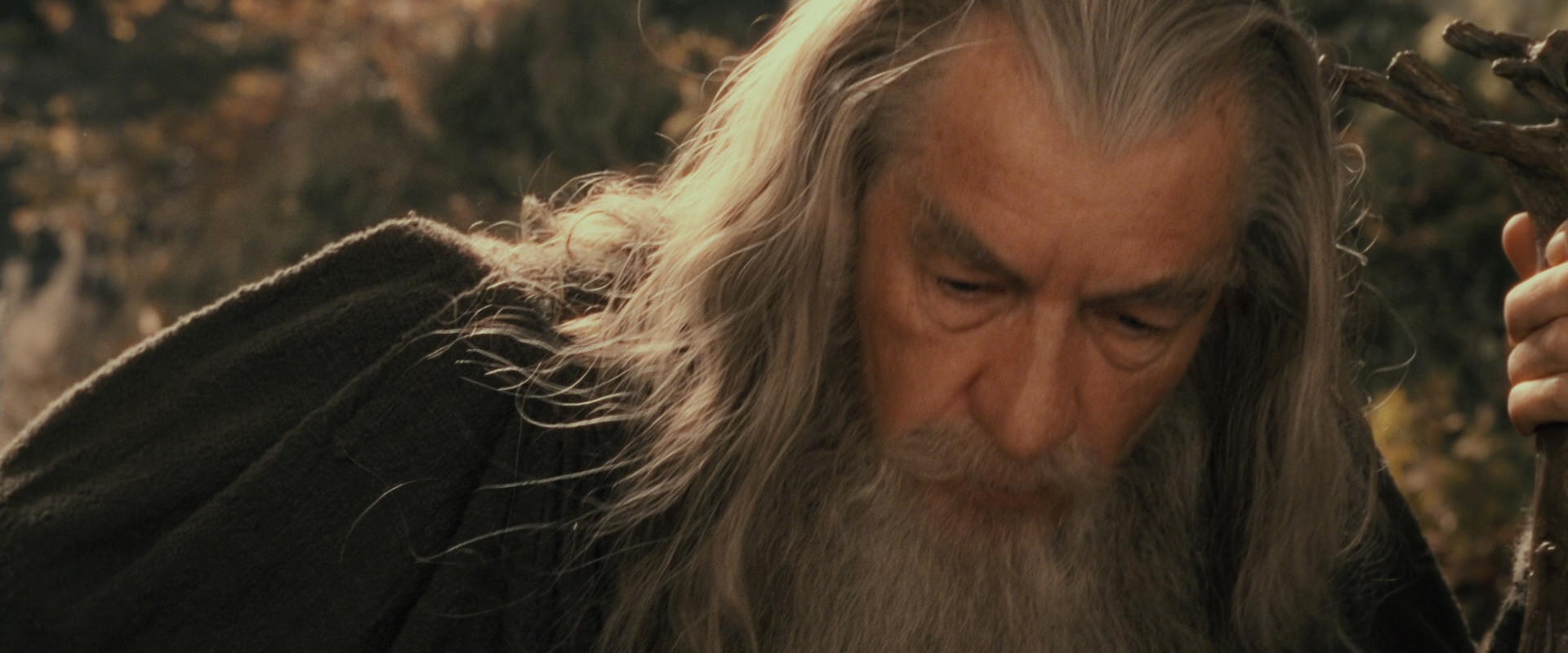 The Lord of the Rings: The Fellowship of the Ring (2001) screencap 11679