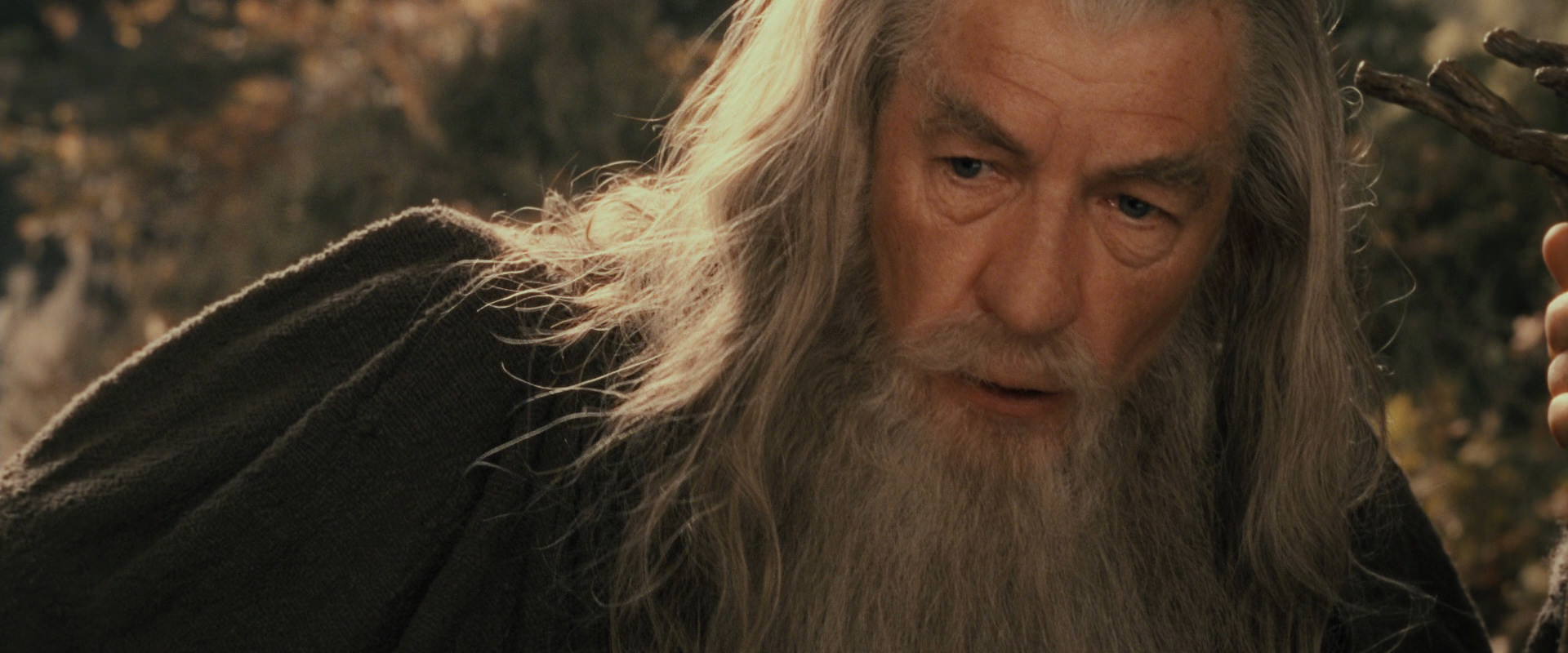 The Lord of the Rings: The Fellowship of the Ring (2001) movie still 11680