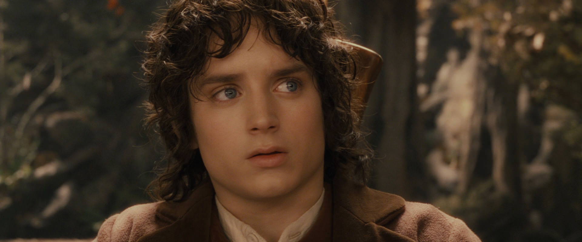 The Lord of the Rings: The Fellowship of the Ring (2001) screencap 11694