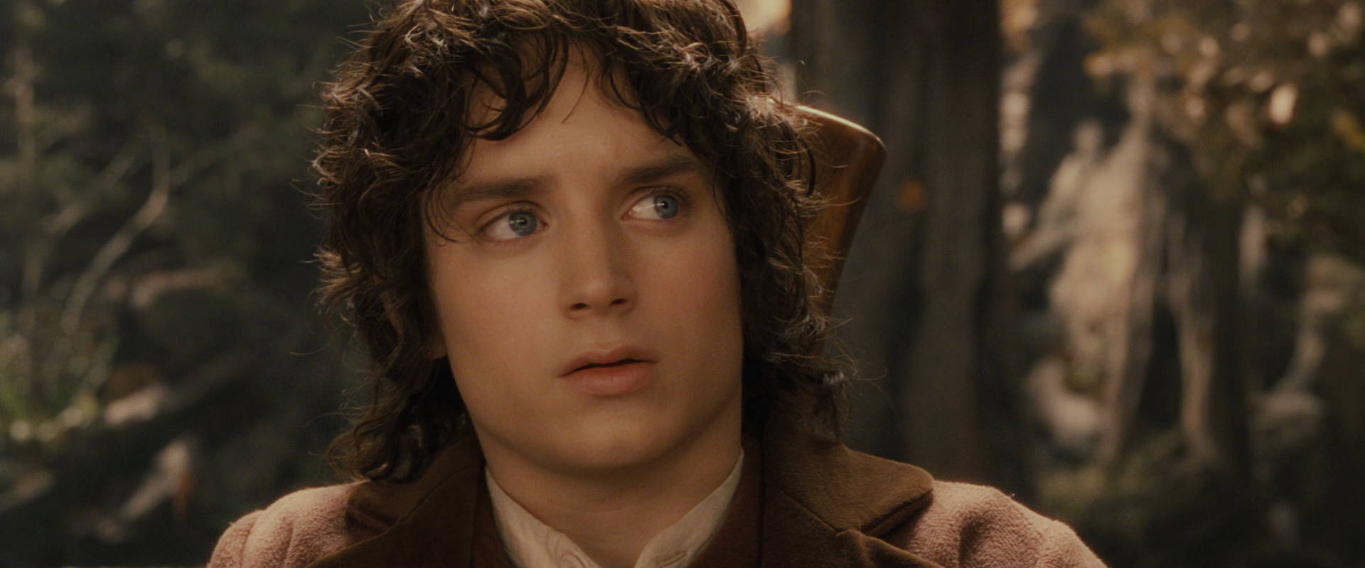 The Lord of the Rings: The Fellowship of the Ring (2001) movie still 11695