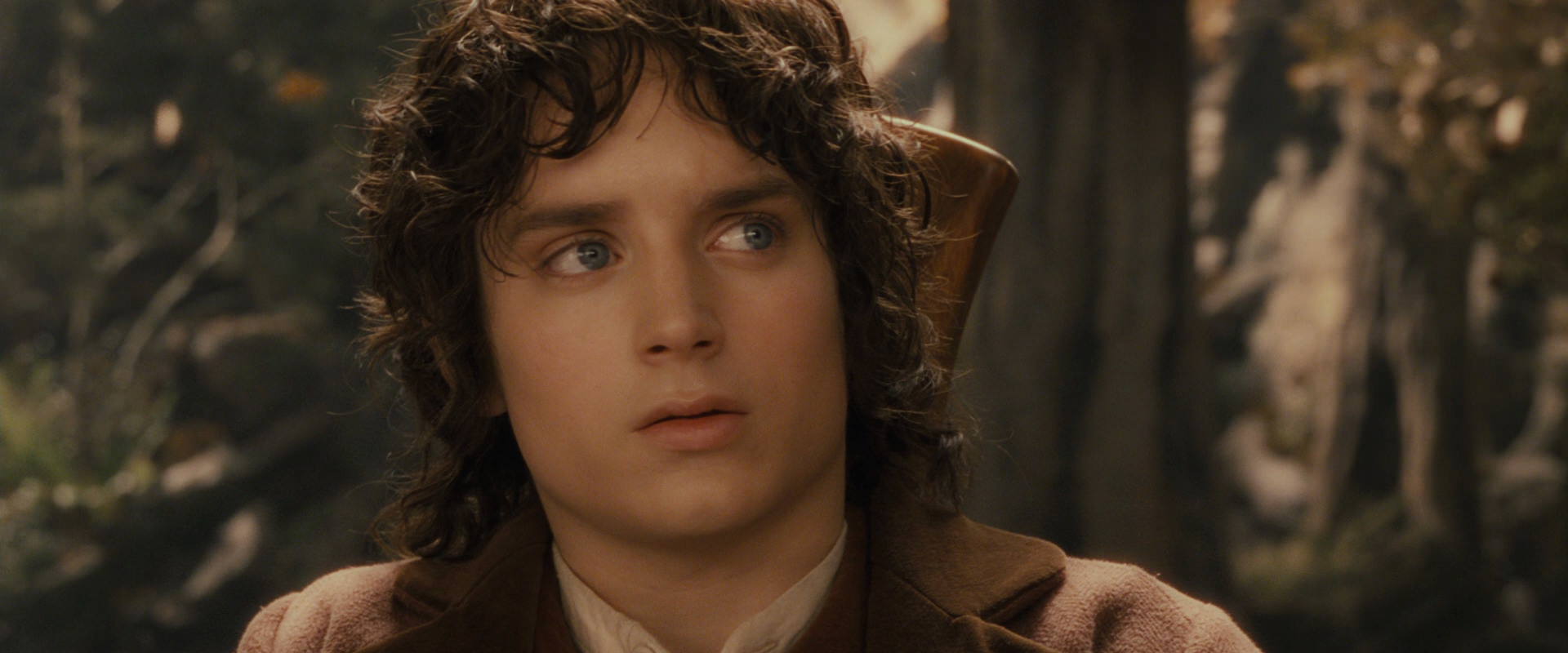 The Lord of the Rings: The Fellowship of the Ring (2001) HD screenshot 11696