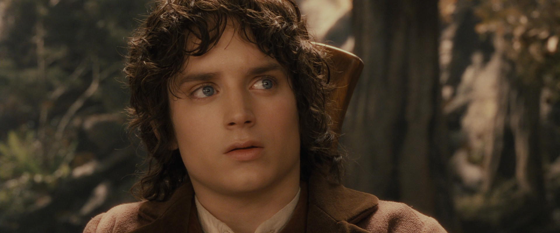 The Lord of the Rings: The Fellowship of the Ring (2001) screencap 11697