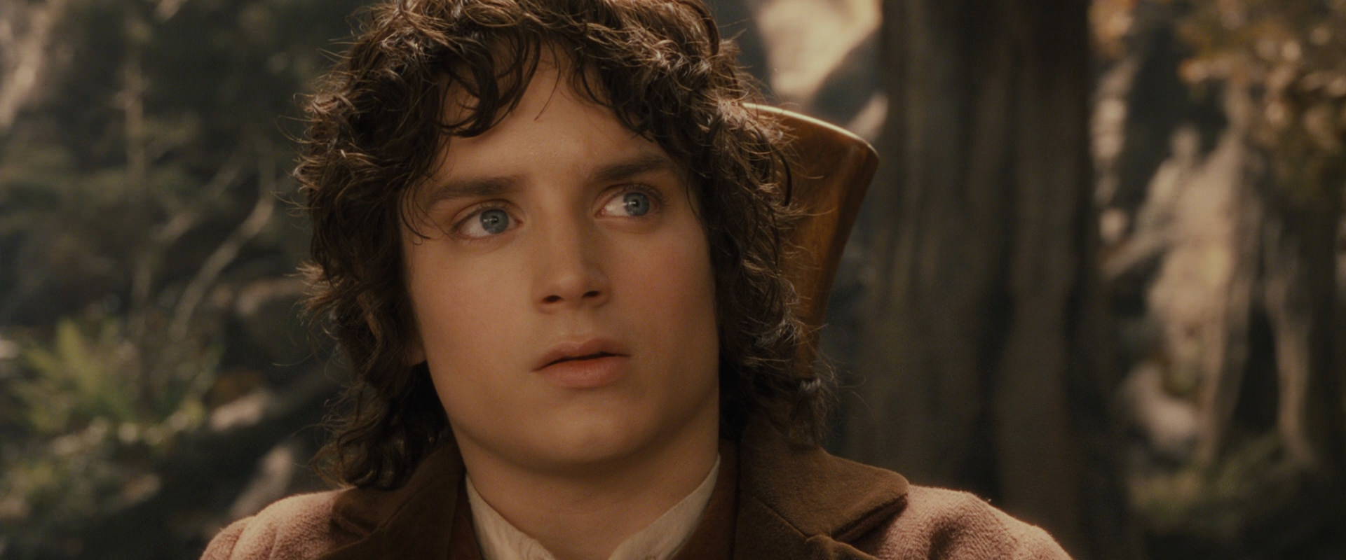 The Lord of the Rings: The Fellowship of the Ring (2001) movie still 11698