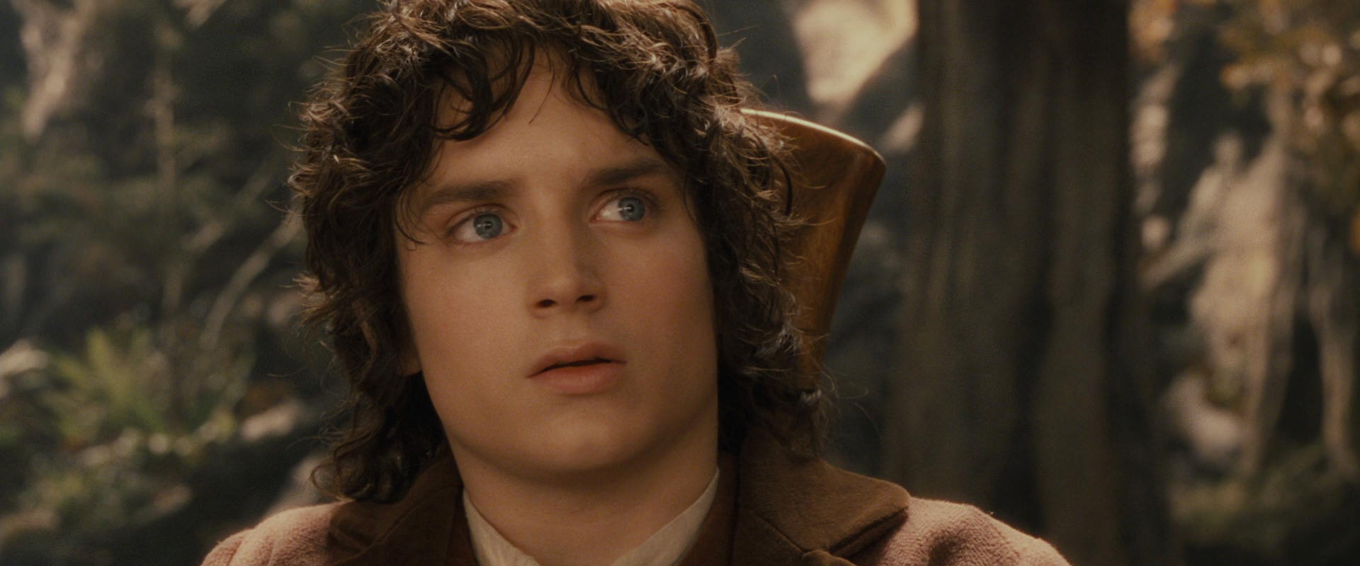 The Lord of the Rings: The Fellowship of the Ring (2001) HD screenshot 11699