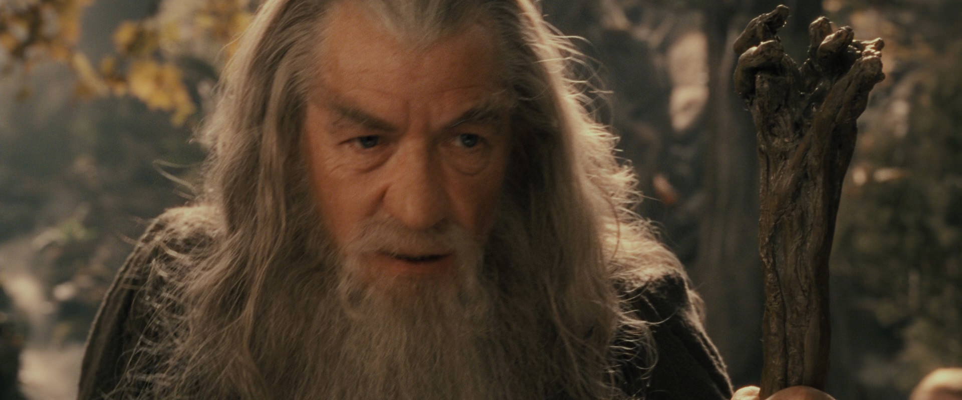 The Lord of the Rings: The Fellowship of the Ring (2001) screencap 11700