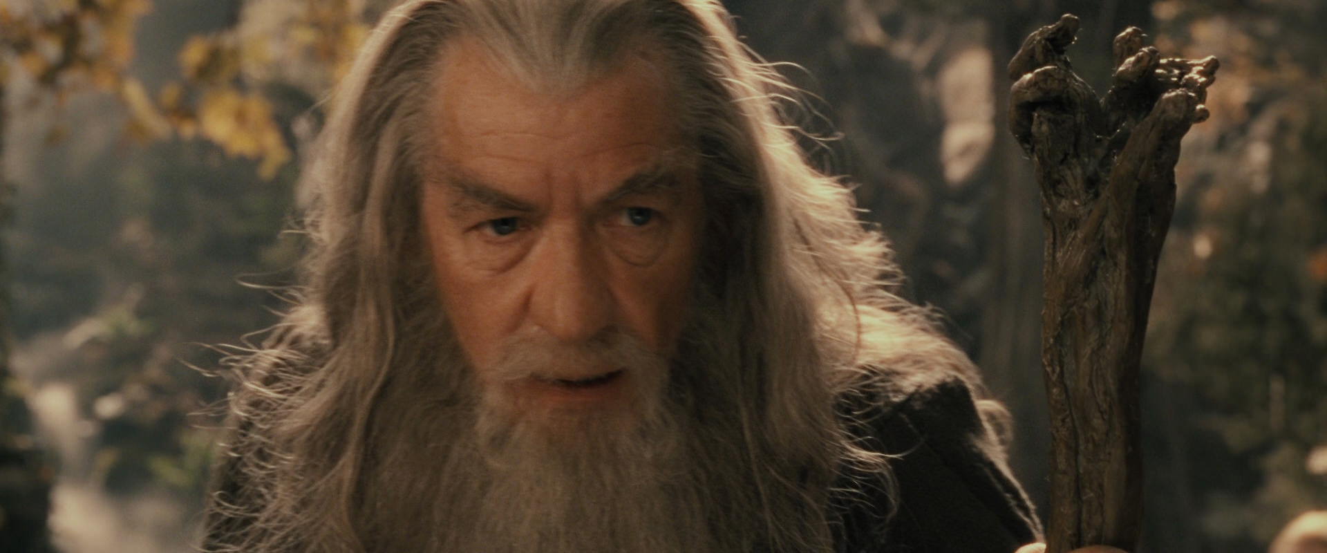 The Lord of the Rings: The Fellowship of the Ring (2001) movie still 11701