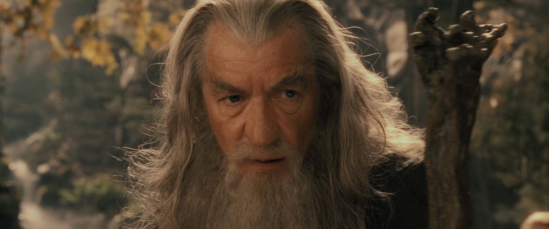 The Lord of the Rings: The Fellowship of the Ring (2001) HD screenshot 11702