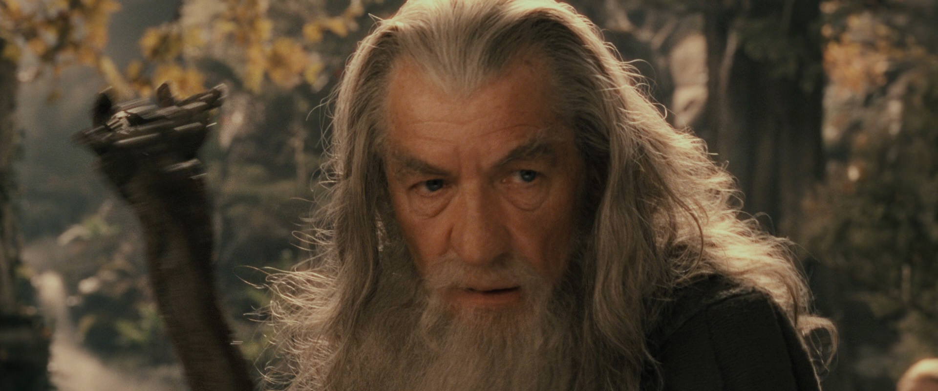 The Lord of the Rings: The Fellowship of the Ring (2001) screencap 11703
