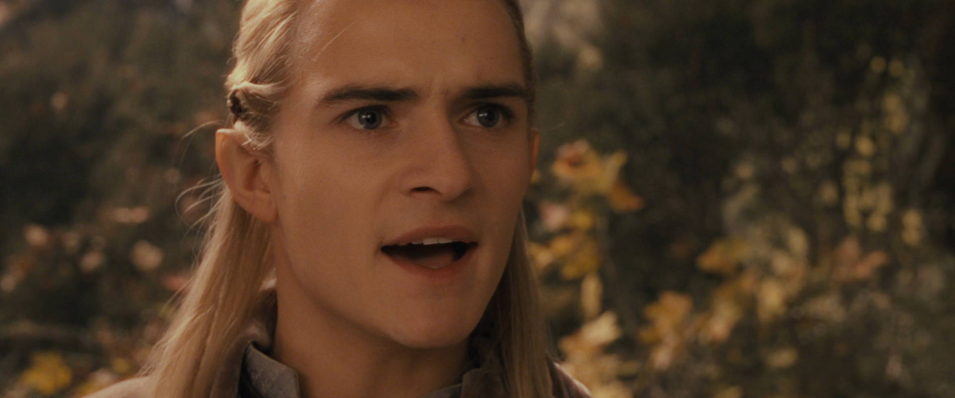The Lord of the Rings: The Fellowship of the Ring (2001) movie still 11782