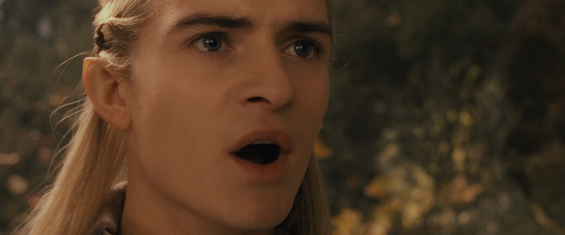 The Lord of the Rings: The Fellowship of the Ring (2001) screencap 11790