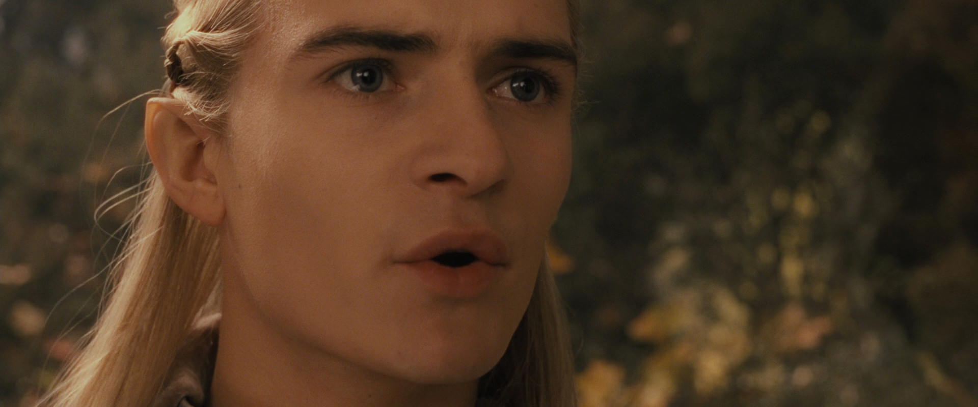 The Lord of the Rings: The Fellowship of the Ring (2001) movie still 11791
