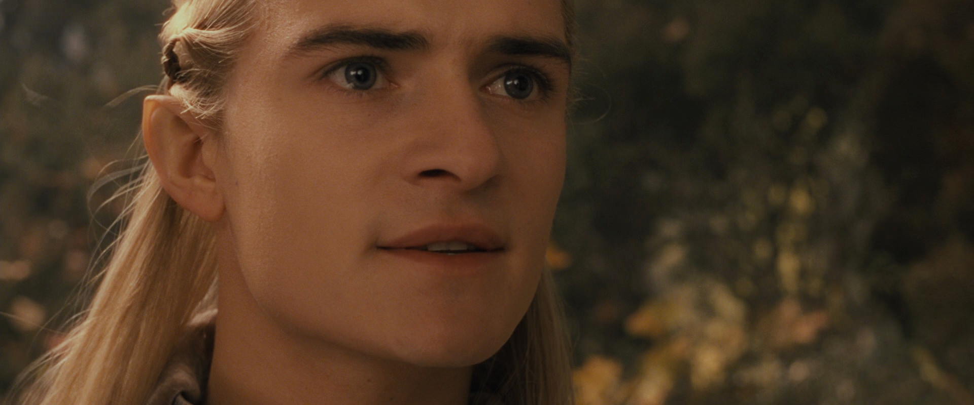 The Lord of the Rings: The Fellowship of the Ring (2001) screencap 11793