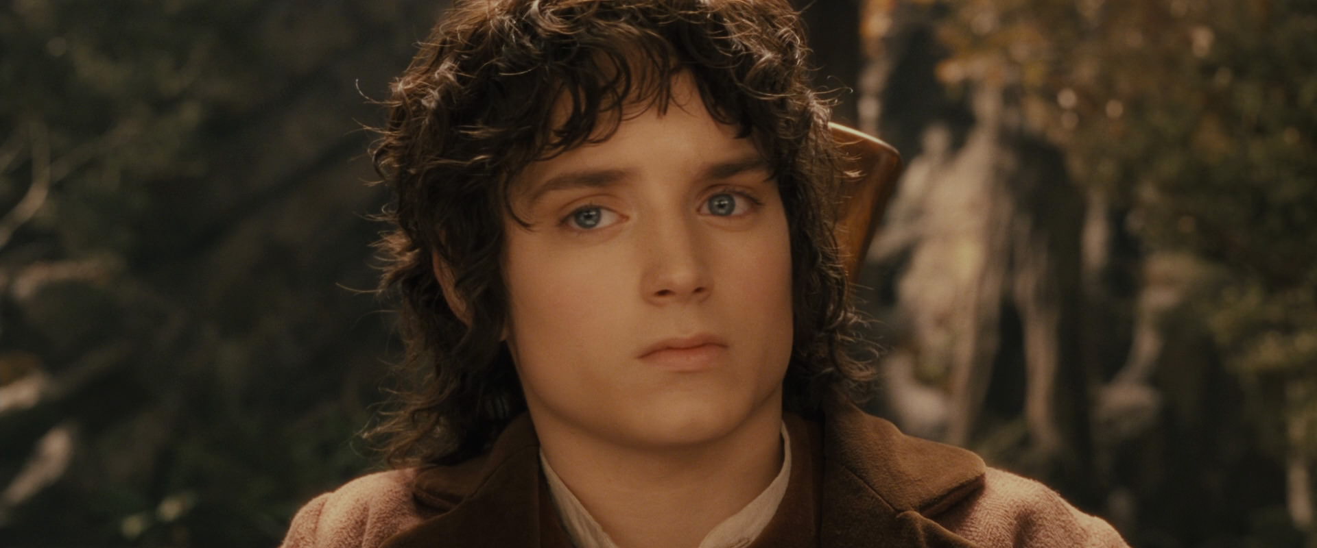 The Lord of the Rings: The Fellowship of the Ring (2001) screencap 11796