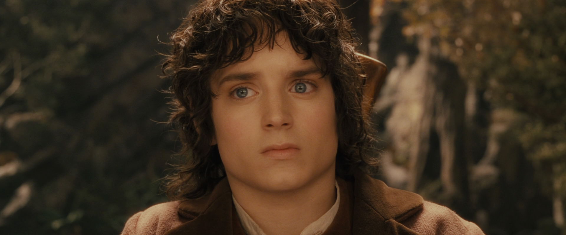 The Lord of the Rings: The Fellowship of the Ring (2001) movie still 11797