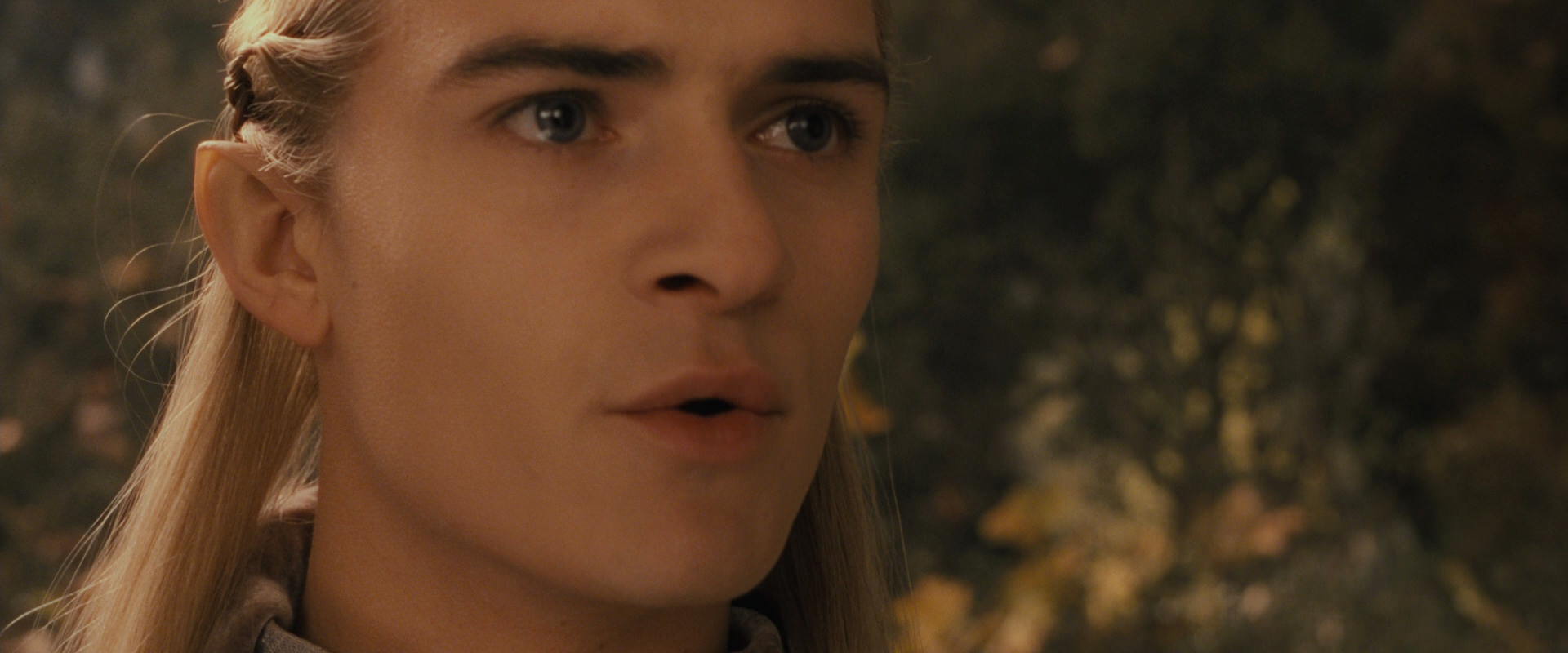 The Lord of the Rings: The Fellowship of the Ring (2001) screencap 11823