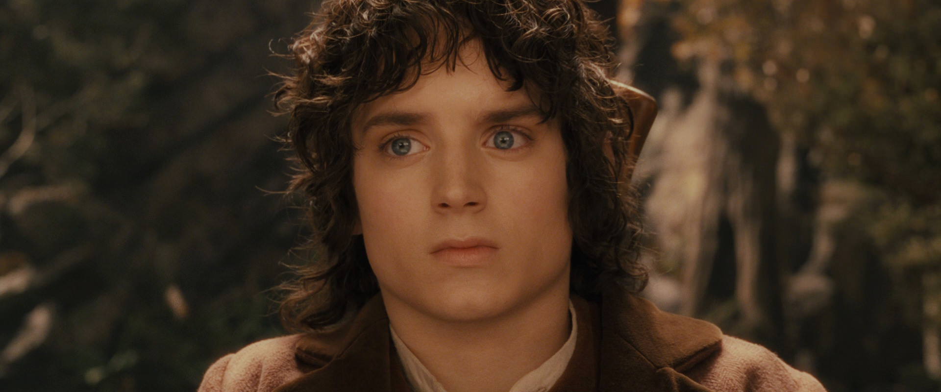 The Lord of the Rings: The Fellowship of the Ring (2001) HD screenshot 11825