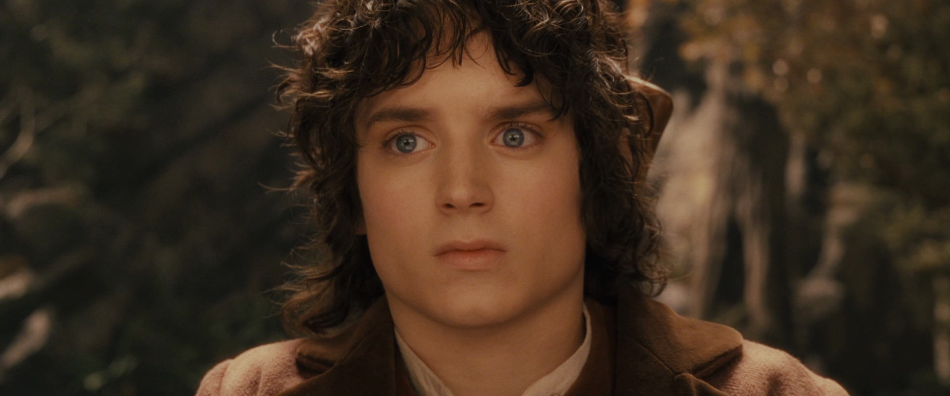 The Lord of the Rings: The Fellowship of the Ring (2001) screencap 11826