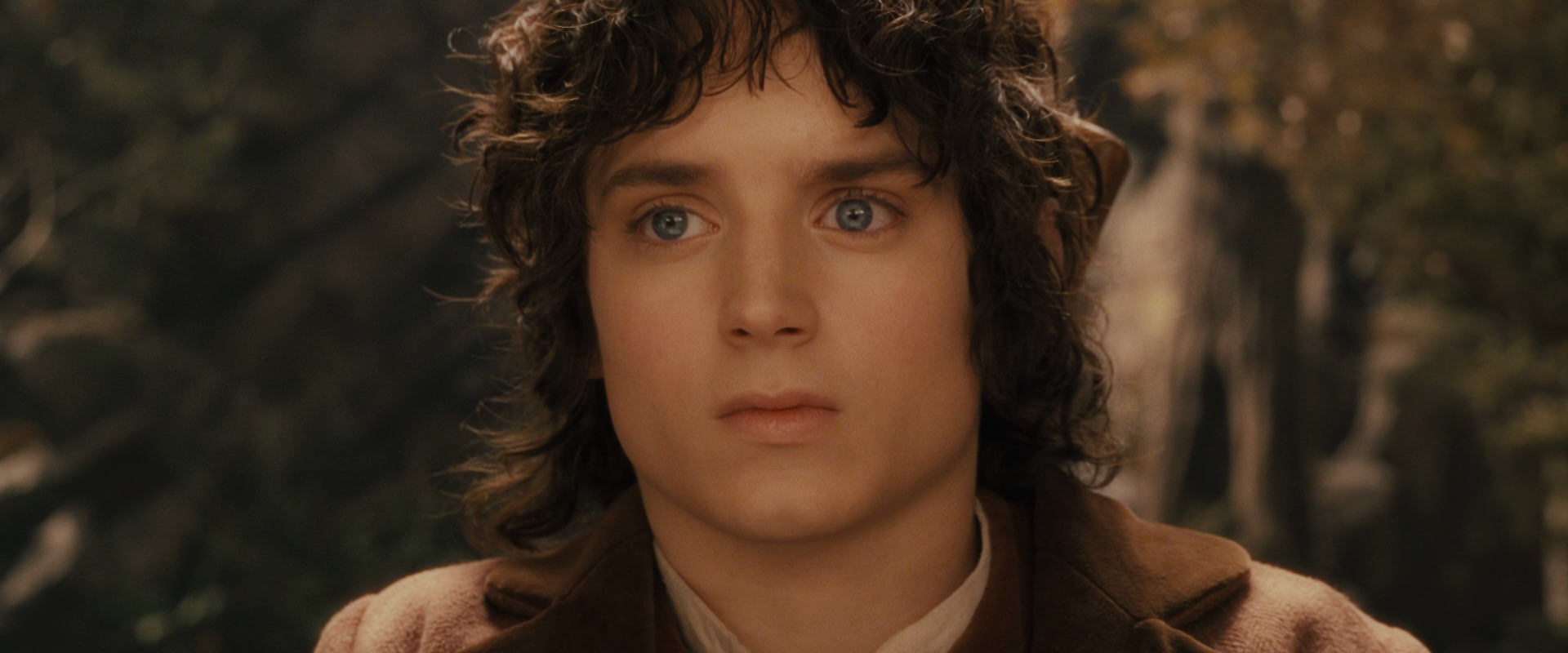 The Lord of the Rings: The Fellowship of the Ring (2001) movie still 11827