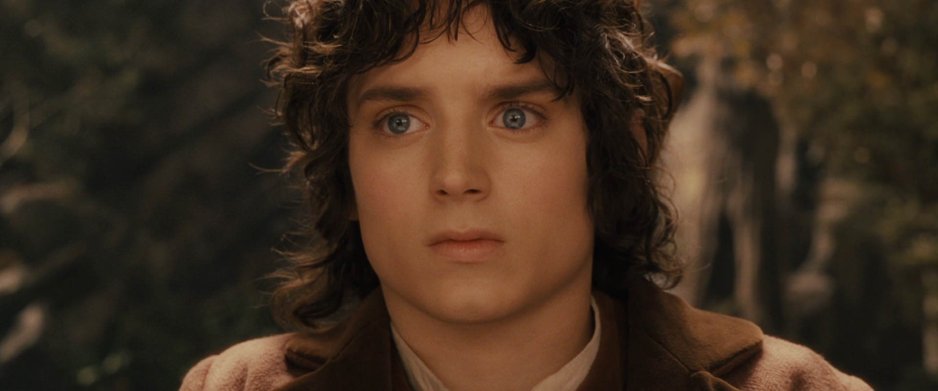 The Lord of the Rings: The Fellowship of the Ring (2001) HD screenshot 11828