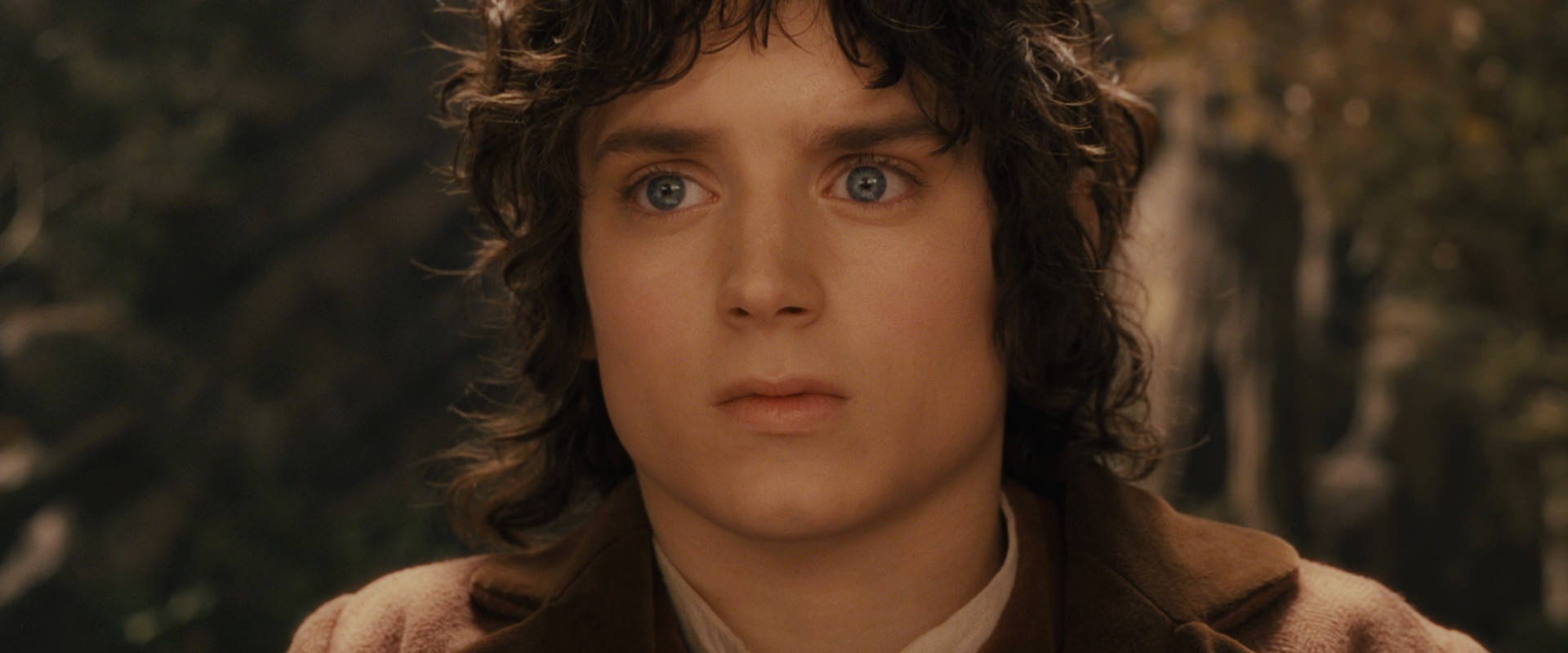 The Lord of the Rings: The Fellowship of the Ring (2001) screencap 11829