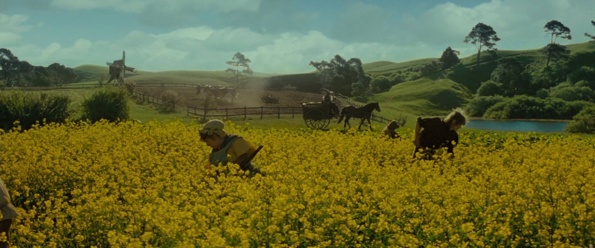 The Lord of the Rings: The Fellowship of the Ring (2001) HD screenshot 1184
