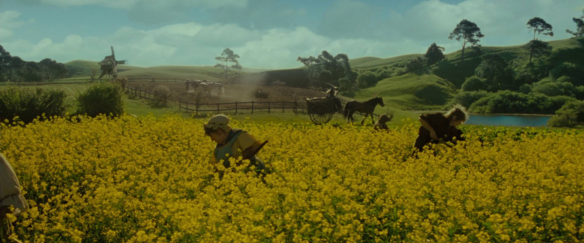 The Lord of the Rings: The Fellowship of the Ring (2001) screencap 1185