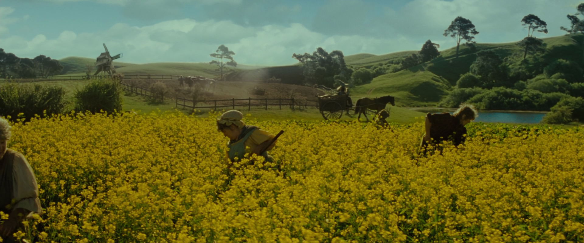 The Lord of the Rings: The Fellowship of the Ring (2001) movie still 1186