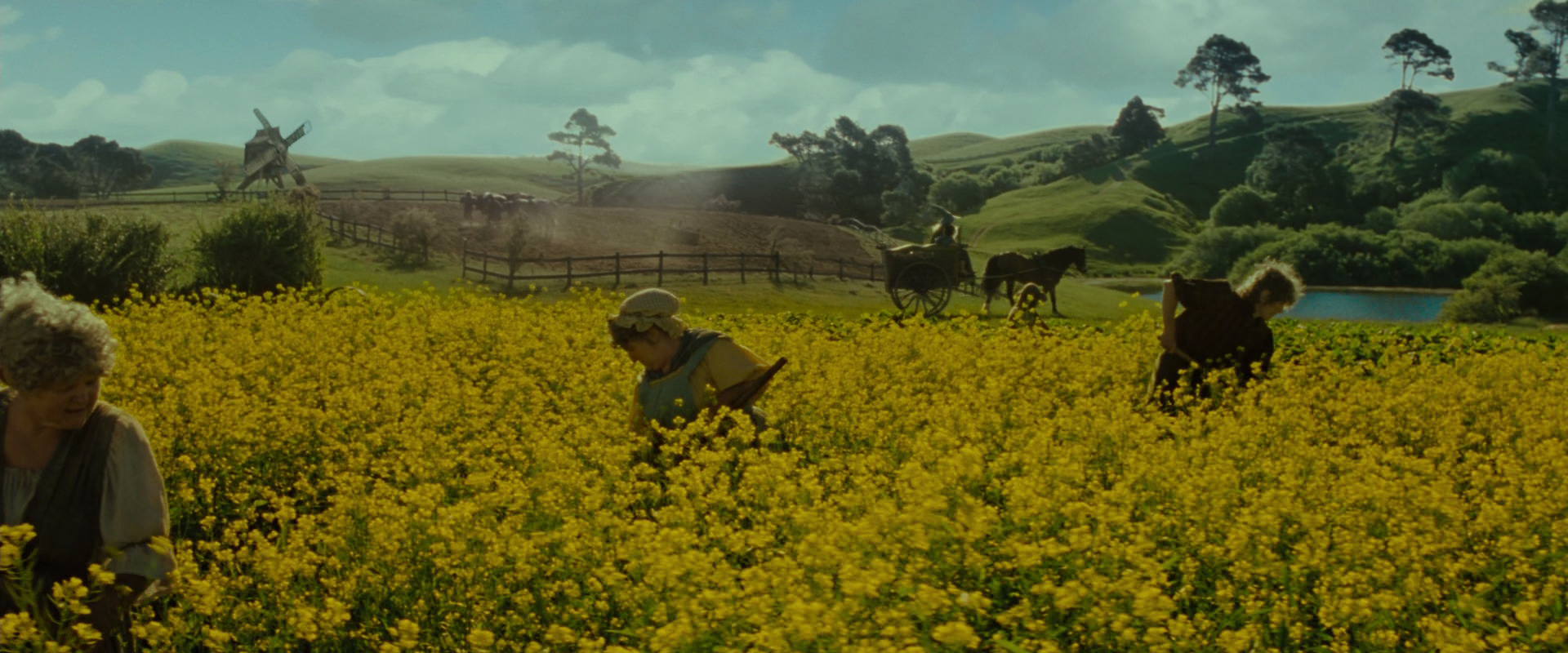 The Lord of the Rings: The Fellowship of the Ring (2001) HD screenshot 1187