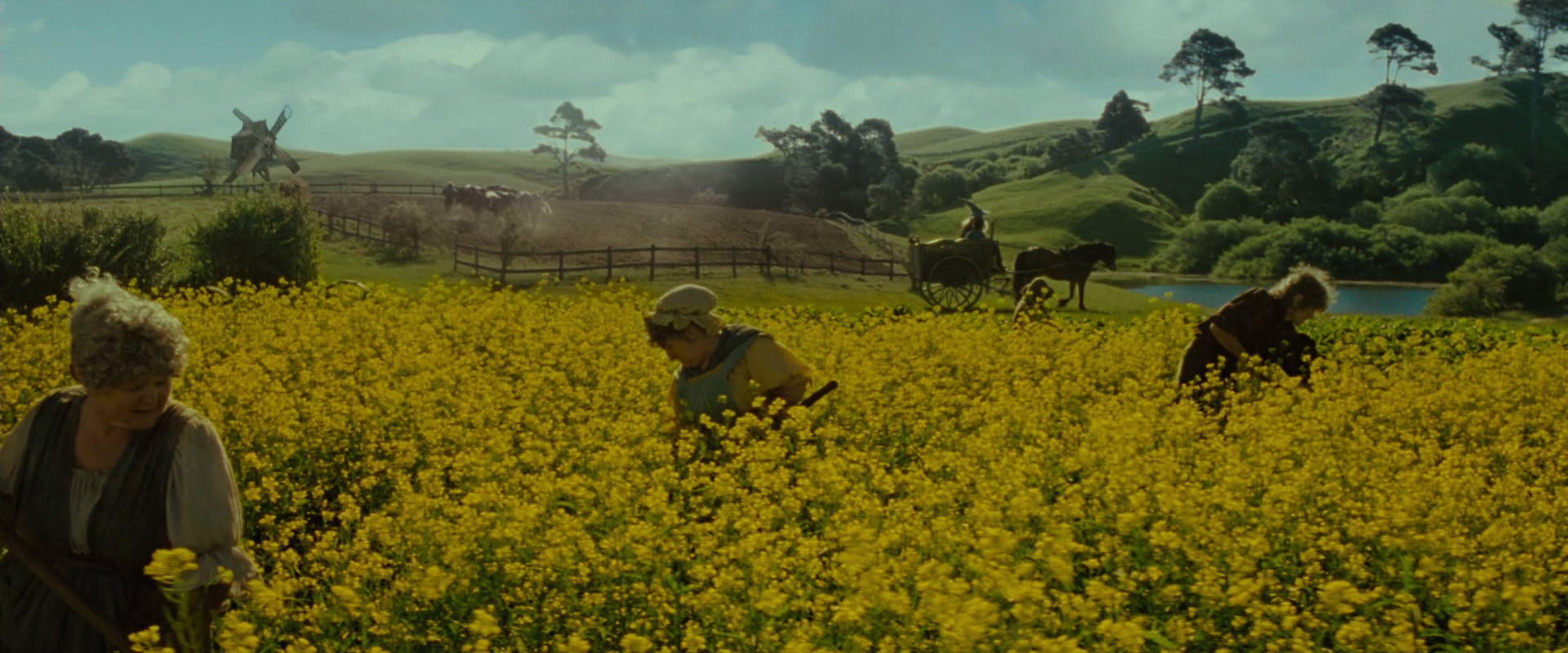 The Lord of the Rings: The Fellowship of the Ring (2001) screencap 1188