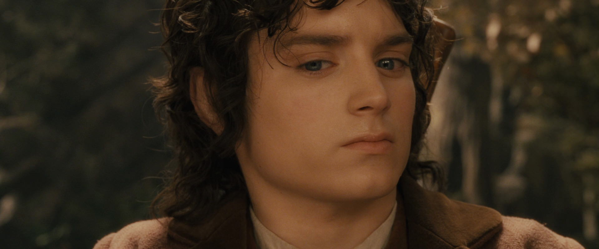 The Lord of the Rings: The Fellowship of the Ring (2001) screencap 11892