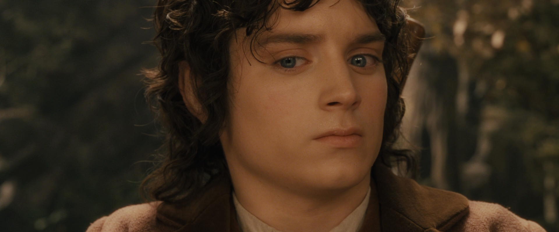 The Lord of the Rings: The Fellowship of the Ring (2001) HD screenshot 11894