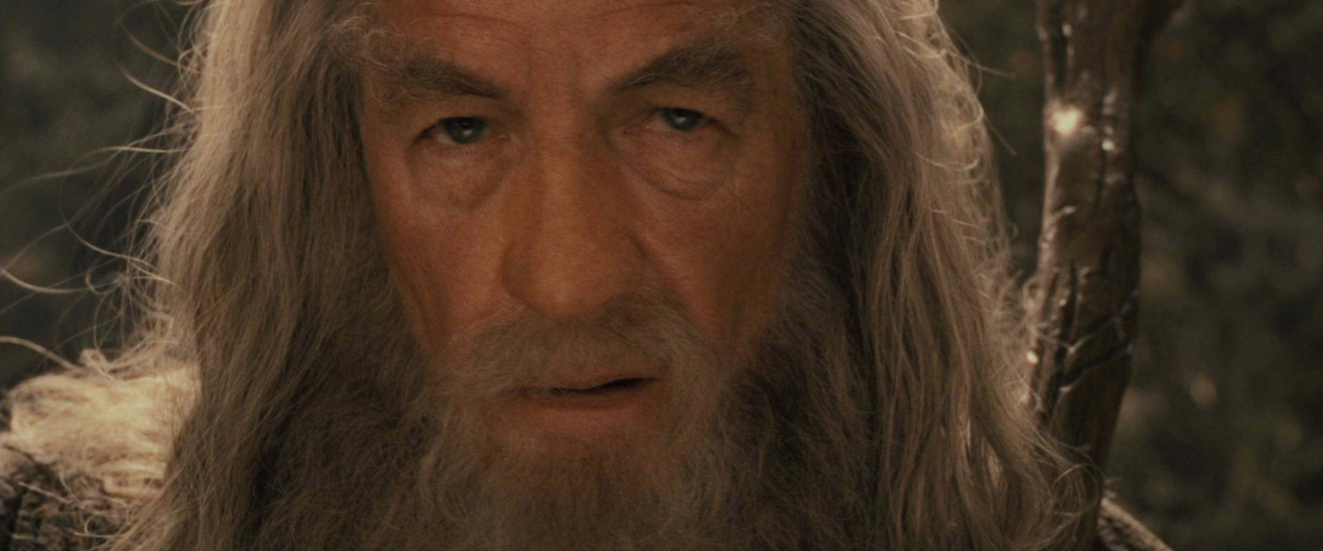 The Lord of the Rings: The Fellowship of the Ring (2001) screencap 11901
