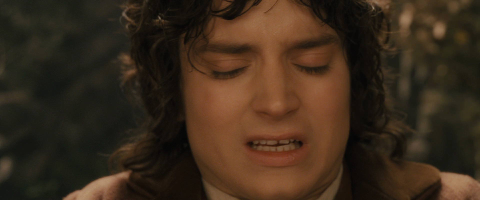 The Lord of the Rings: The Fellowship of the Ring (2001) HD screenshot 11909