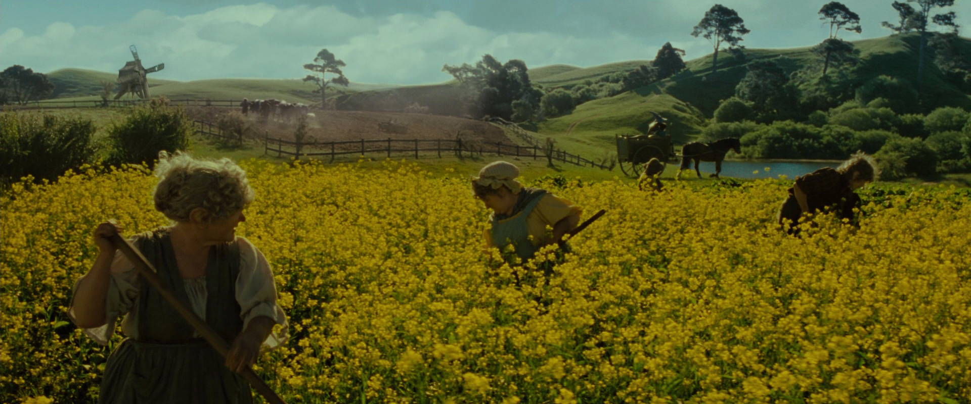 The Lord of the Rings: The Fellowship of the Ring (2001) screencap 1191