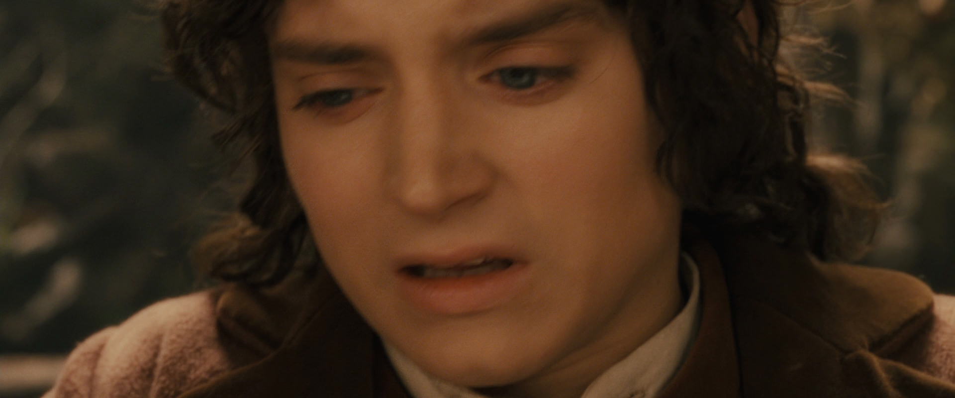 The Lord of the Rings: The Fellowship of the Ring (2001) screencap 11910