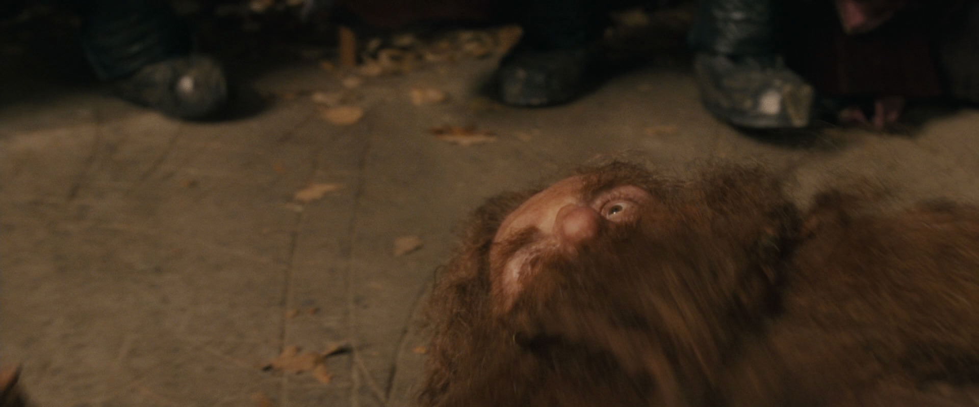 The Lord of the Rings: The Fellowship of the Ring (2001) HD screenshot 11912