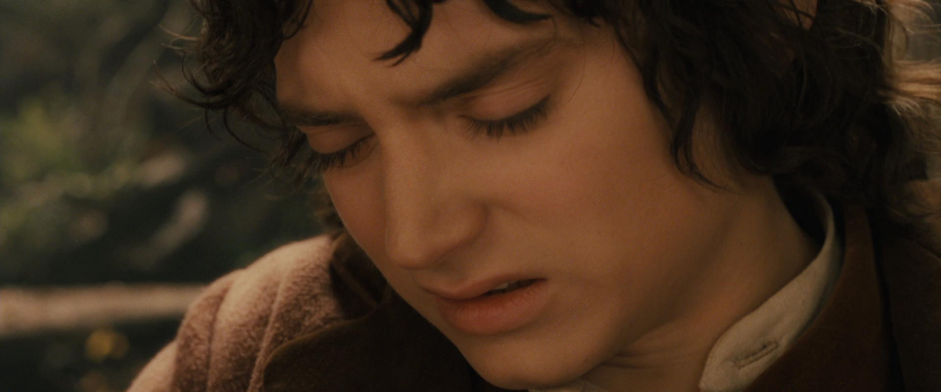 The Lord of the Rings: The Fellowship of the Ring (2001) screencap 11913