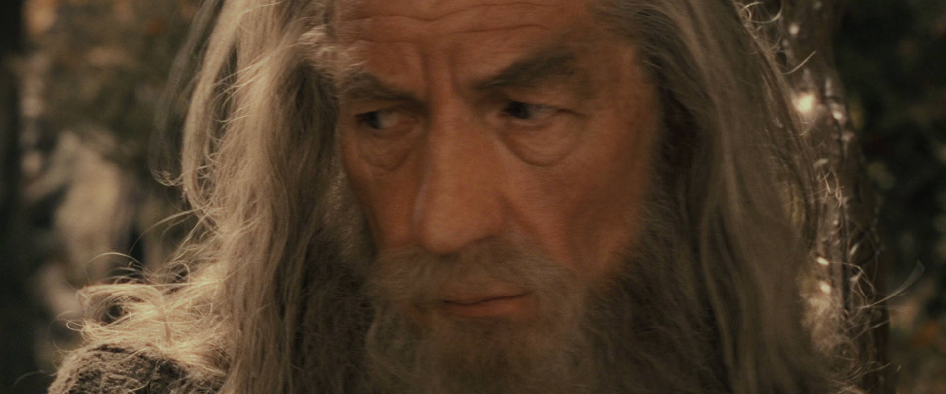 The Lord of the Rings: The Fellowship of the Ring (2001) screencap 11916