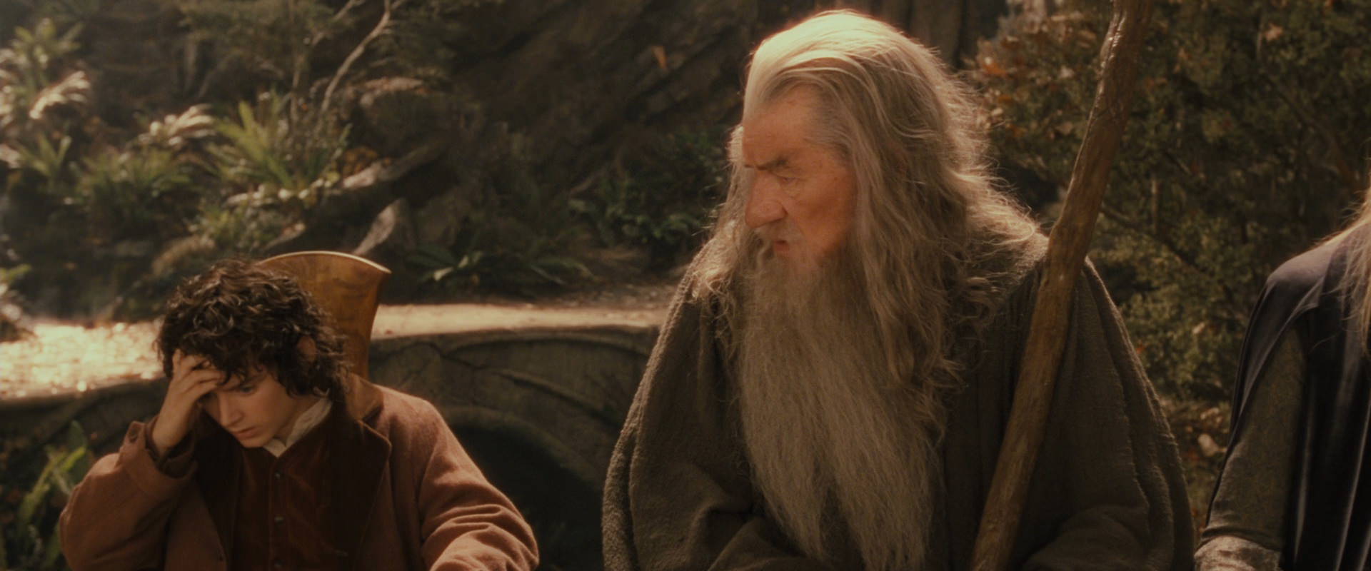 The Lord of the Rings: The Fellowship of the Ring (2001) movie still 11917