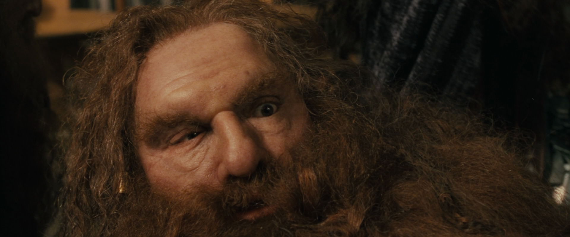 The Lord of the Rings: The Fellowship of the Ring (2001) HD screenshot 11927